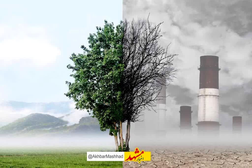  چطور در هوای آلوده از بدن خود محافظت کنیم؟