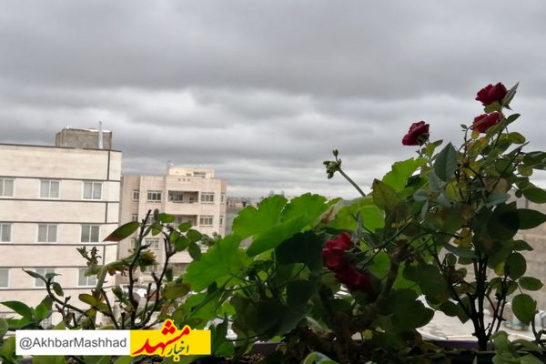 هوای مشهد پس از دو هفته قابل قبول شد