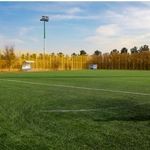 شهردار مشهد مقدس: نخستین زمین چمن استاندارد فوتبال بانوان در پارک ملت مشهد راه‌اندازی می‌شود