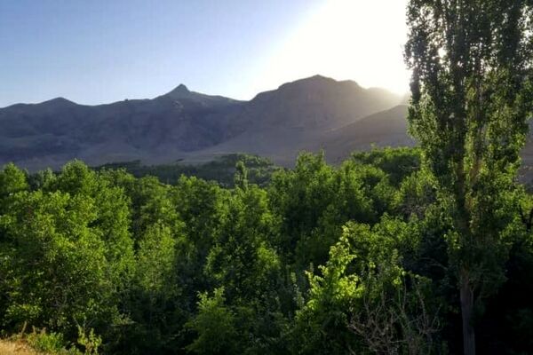 دره آل مشهد کجاست؟
