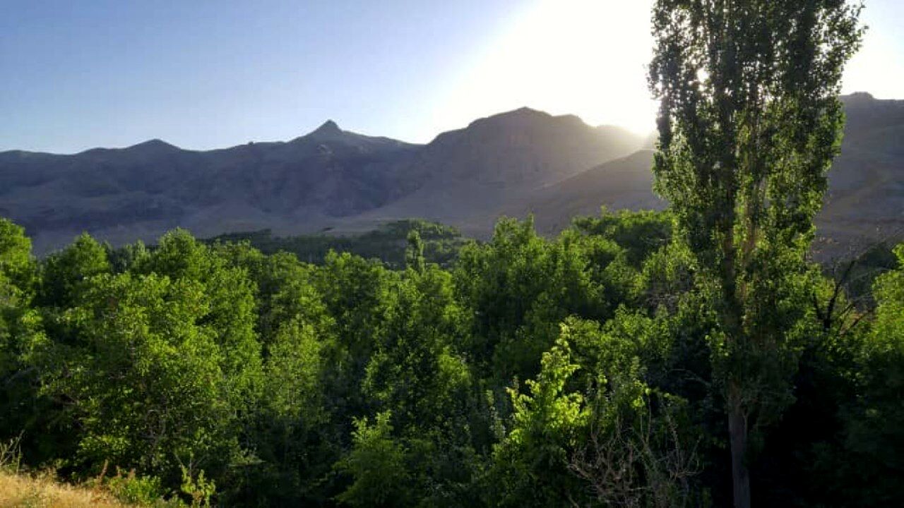 دره آل مشهد کجاست؟