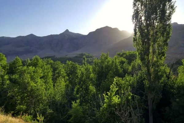 دره آل مشهد کجاست؟