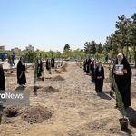 «گلستان میناب» در بوستان جهان‌شهر مشهد | مراسم درخت‌کاری به یاد شهدای میناب