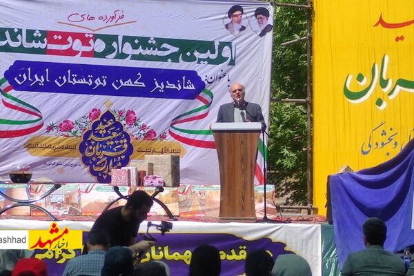 برگزاری اولین جشنواره فرآرده‌های توت در شاندیز