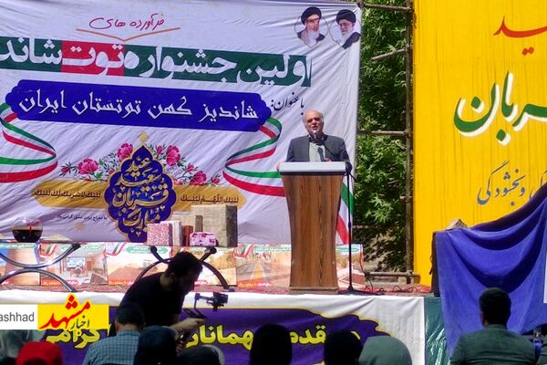 برگزاری اولین جشنواره فرآرده‌های توت در شاندیز