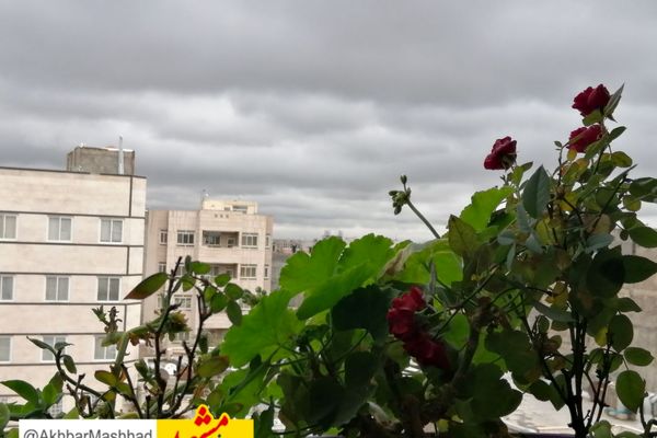 سامانه بارشی قوی از روز چهارشنبه در خراسان رضوی فعال می شود