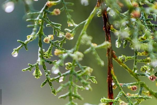 پیش‌بینی هواشناسی مشهد و خراسان رضوی امروز (پنجشنبه، ۲۸ اسفند ۱۴۰۴) | ورود سامانه بارشی به استان از فردا