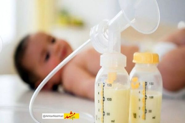 خدمات بانک شیر مشهد به کمک تغذیه ۱۲۳۰ نوزاد نارس آمد