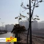 احتمال وقوع طوفان گردوخاک در نواحی بادخیز جنوبی استان