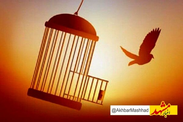 ۸۸ زندانی جرائم غیر عمد در شب ولادت امام علی (ع) آزاد شدند