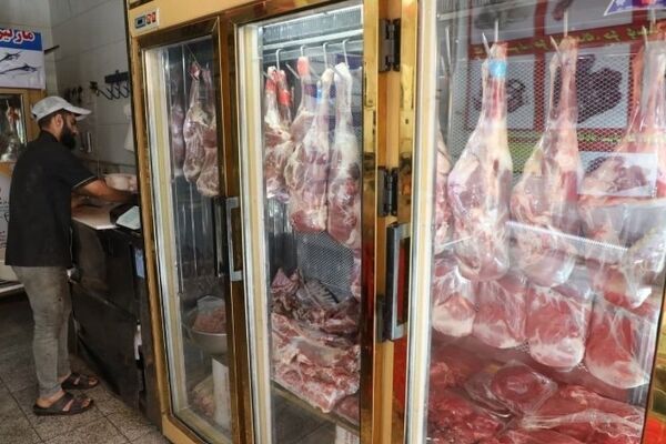 توزیع گوشت گرم گوسفندی از هفته آینده با قیمت بسیار مناسب در مشهد