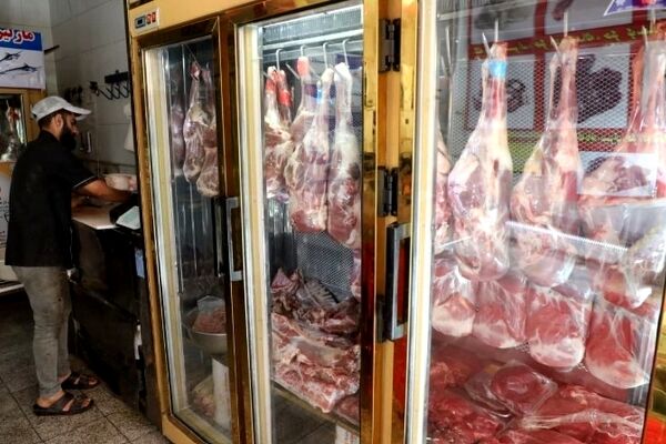 توزیع گوشت گرم گوسفندی از هفته آینده با قیمت بسیار مناسب در مشهد