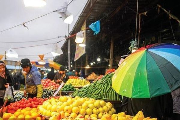 قیمت امروز میوه و تره بار در مشهد (۲۹ فروردین ۱۴۰۵) | کدام میوه‌ها ارزان و کدام گران شدند؟