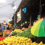 قیمت امروز میوه و تره بار در مشهد (۲۹ فروردین ۱۴۰۵) | کدام میوه‌ها ارزان و کدام گران شدند؟