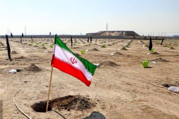 کاشت ۱۰۰۰ اصله درخت در بوستان کرامت مشهد به‌مناسبت روز درخت‌کاری ۱۴۰۴