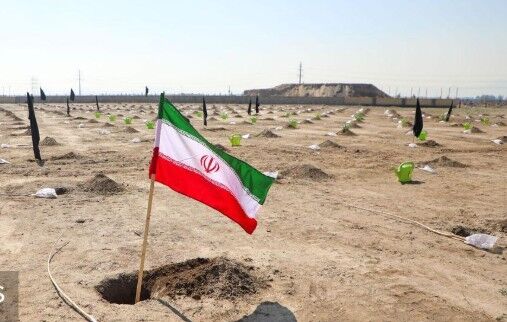 کاشت ۱۰۰۰ اصله درخت در بوستان کرامت مشهد به‌مناسبت روز درخت‌کاری ۱۴۰۴