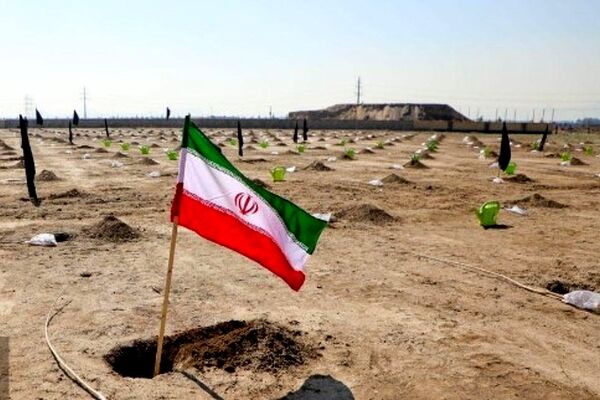 کاشت ۱۰۰۰ اصله درخت در بوستان کرامت مشهد به‌مناسبت روز درخت‌کاری ۱۴۰۴