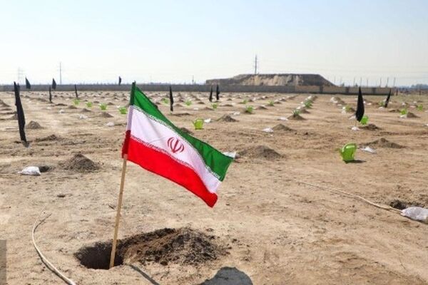 کاشت ۱۰۰۰ اصله درخت در بوستان کرامت مشهد به‌مناسبت روز درخت‌کاری ۱۴۰۴