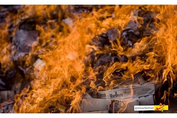 محموله تنباکوی قاچاق در «داورزن» خراسان‌رضوی کشف شد