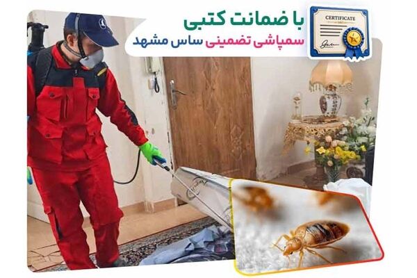 خدمات سمپاشی ساس تضمینی در مشهد توسط شرکت سمپاشی ساس کشاورزباشی