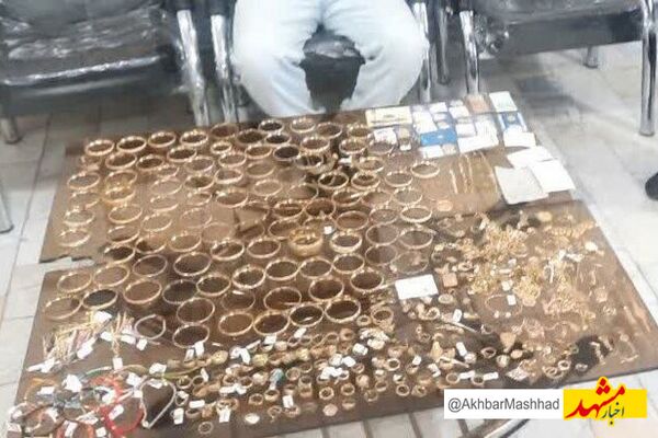 فرمانده انتظامی شهرستان بردسکن از دستگیری دو متهم به ۷ فقره سرقت در این شهرستان خبر داد.
