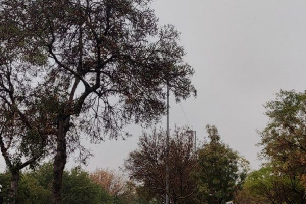 مشهد نفس تازه کرد؛ شاخص لحظه‌ای کیفیت هوا در این کلانشهر «پاک» شد