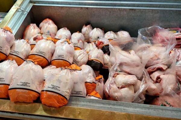 قیمت امروز گوشت، مرغ و تخم‌مرغ در مشهد (۱۶ اسفند ۱۴۰۴) | کاهش قیمت مرغ