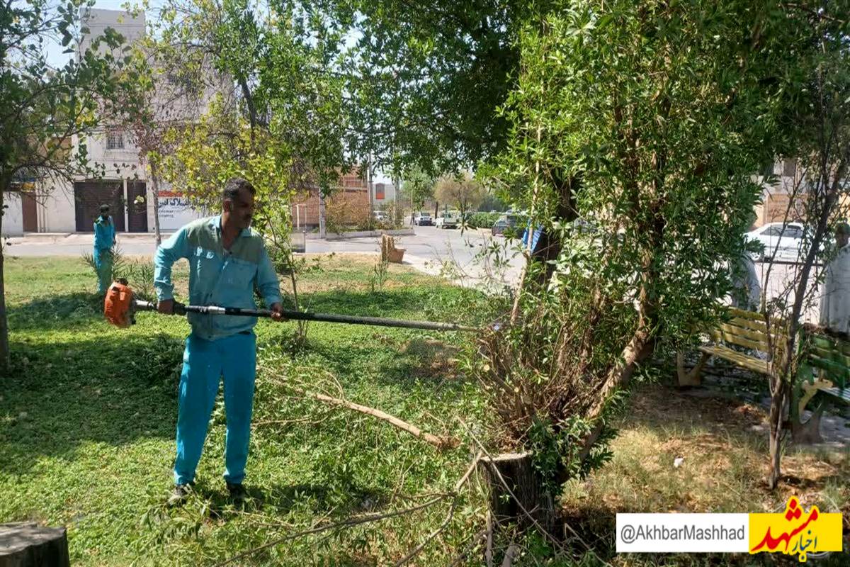 اجرای حدود ۴۰۰ پروژه فضای سبز در مشهد/ ۱۲ بوستان تا پایان تابستان به بهره‌برداری می‌رسند 